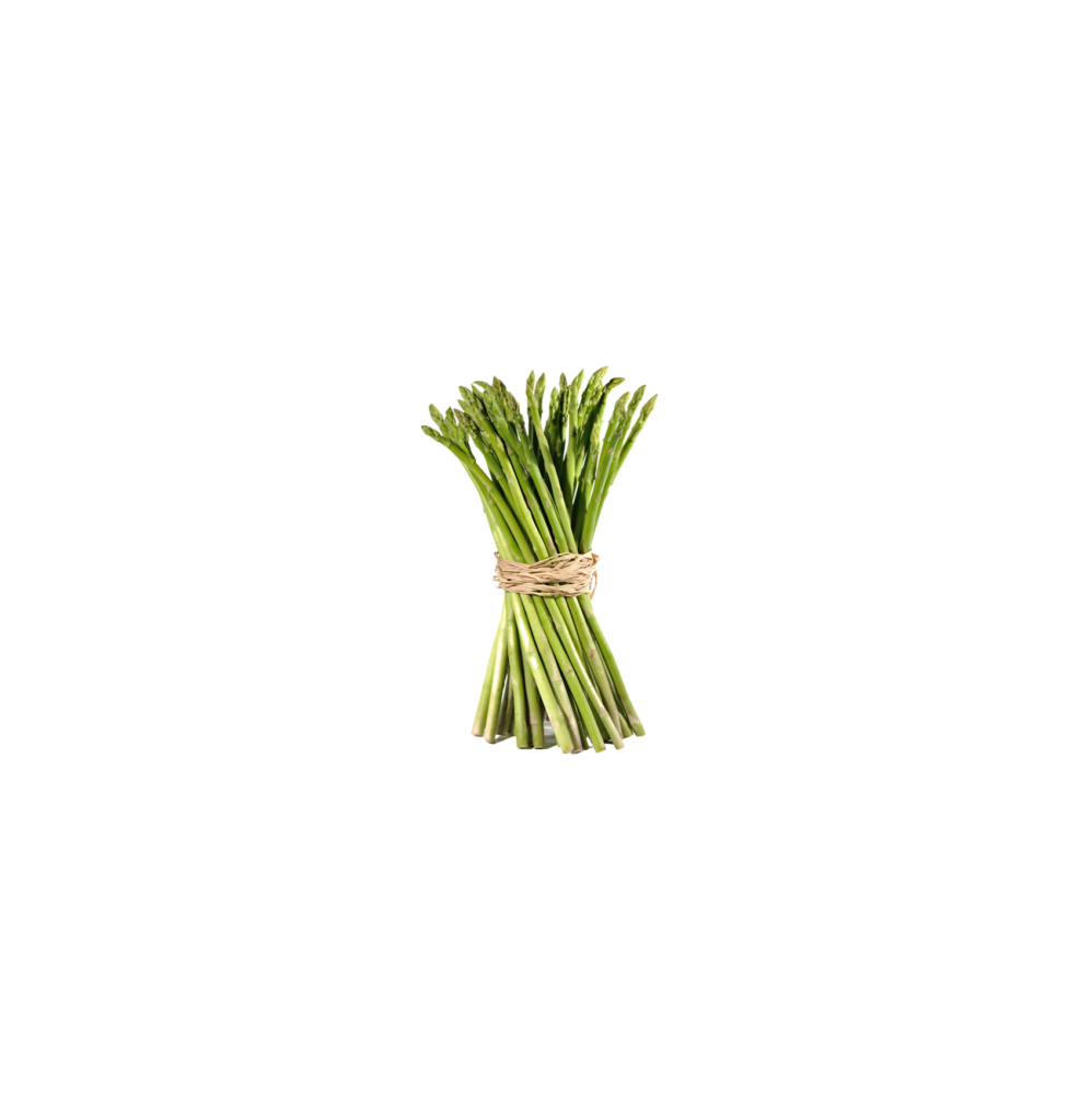 Asparagus V1
