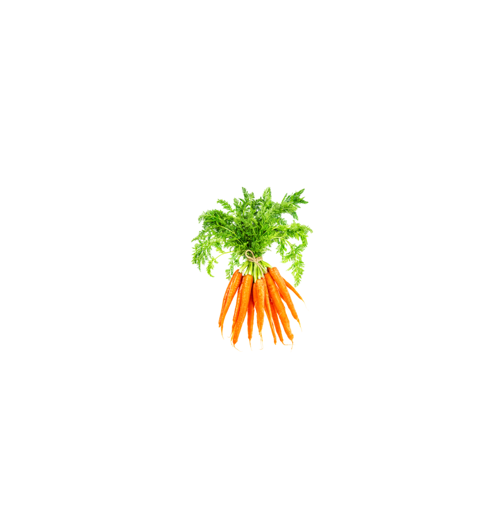 Carrot Keerai V1