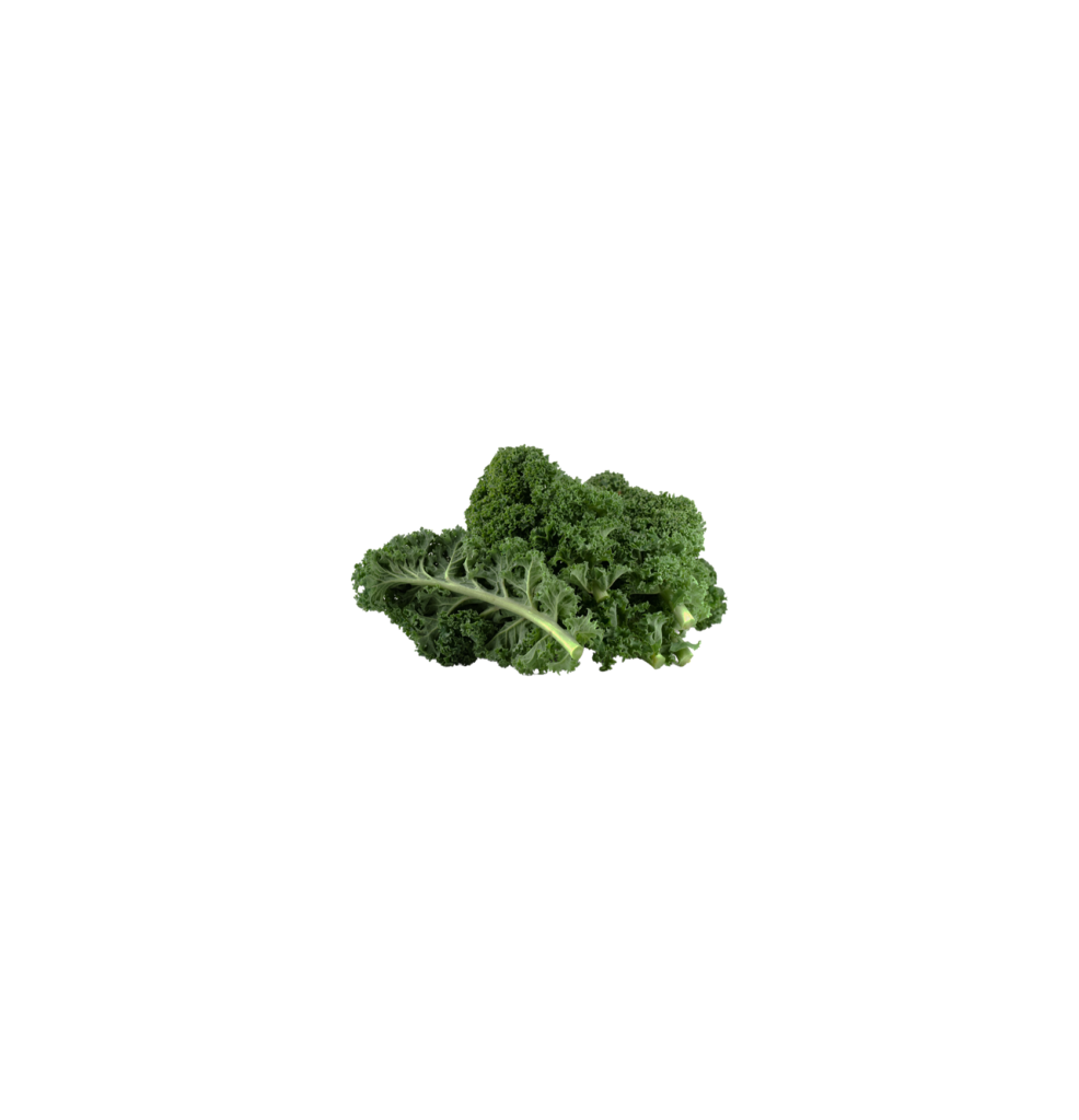 Kale V1