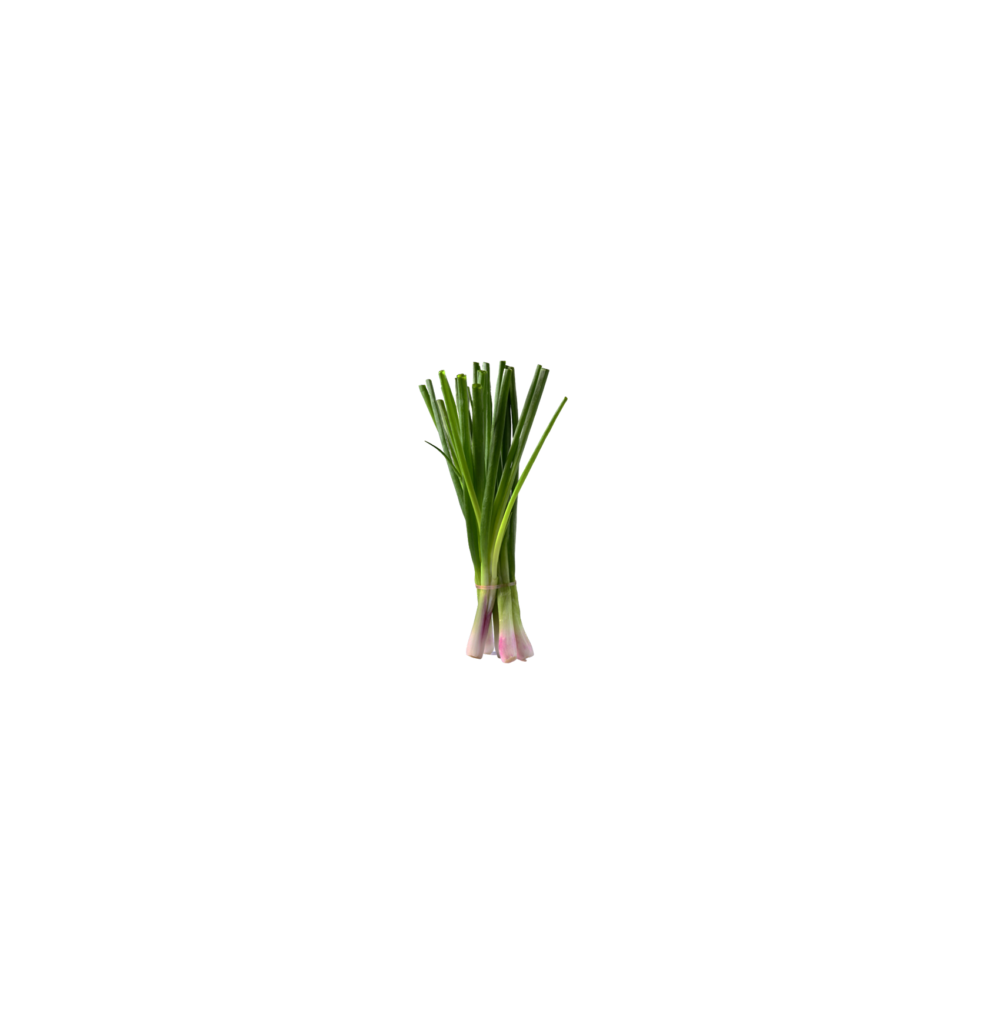 Spring onion V1